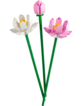 Lego Icons - Fiore di Loto 40647